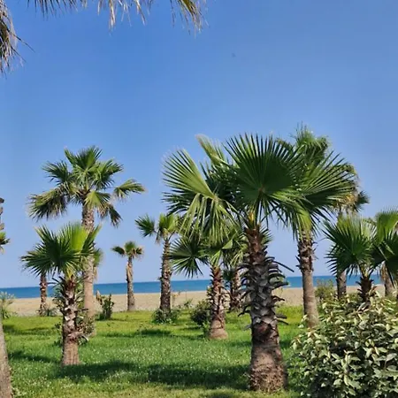 Aurora Qerret Golem (Tirana)